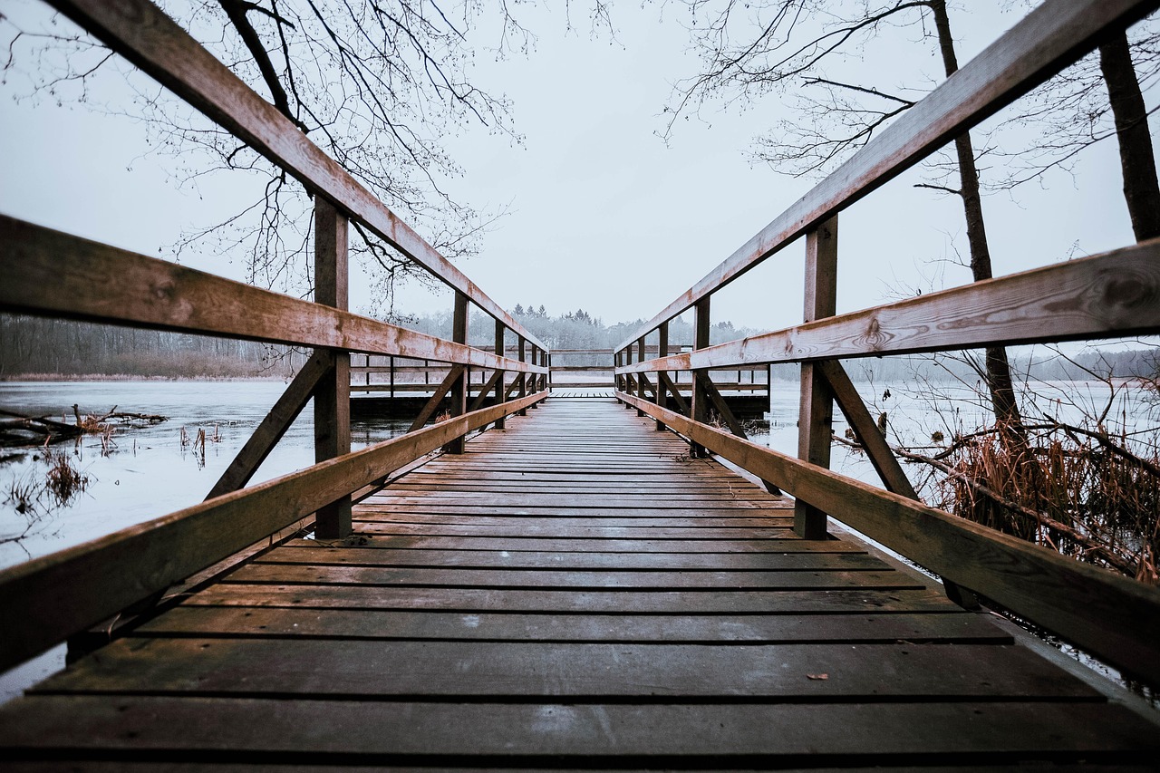 Free Perspective Bridge photo and picture